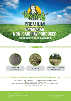 Marley-Farms_brochure_SB_07082020_2